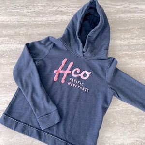 Hollister hoodie